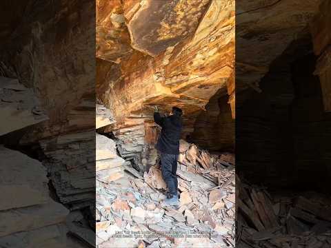 Exploring the secrets of ancient plants: surprising discoveries in shale caves